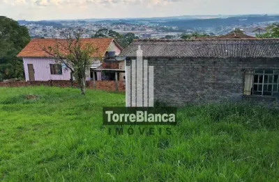 Terreno para alugar na Rua David Hilgemberg Sobrinho, Nova Rússia, Ponta Grossa