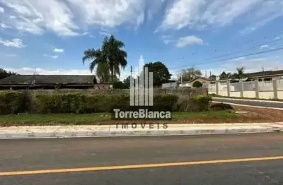Terreno à venda na Rua Rosa Furiatti, Colônia Dona LuÍza, Ponta Grossa
