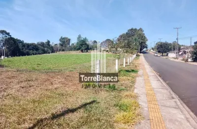 Terreno para locação area urbana , chapada, ponta grossa, pr