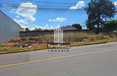 Terreno de esquina à venda , cará-cará, ponta grossa, pr
