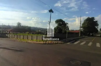 Terreno à venda na Rua Henrique Clock, Orfãs, Ponta Grossa
