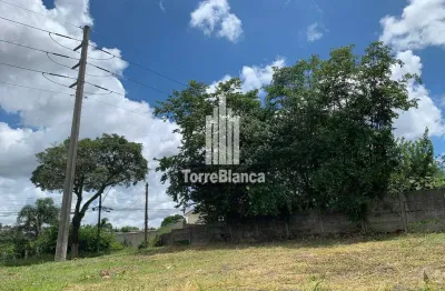 Terreno à venda na Rua Afonso Celso, Neves, Ponta Grossa