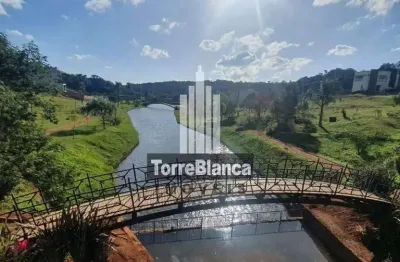 Terreno à venda, vale dos vinhedos, colônia dona luíza, ponta grossa, pr