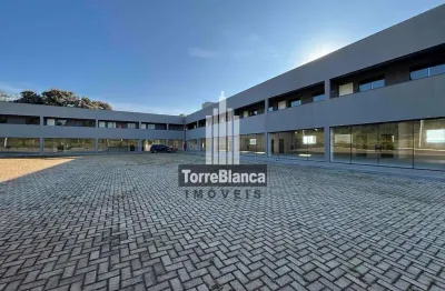 Apartamento com 2 quartos, oficinas, ponta grossa, pr