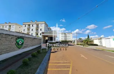 Apartamento à venda, mobílina na cozinha, vila marumbi