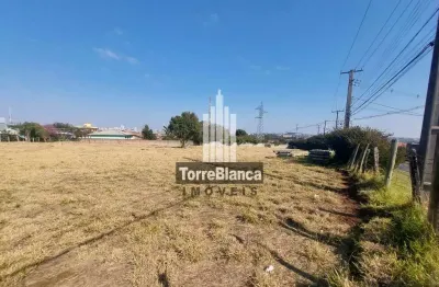 Locação - terreno, 610 m², próximo à rpc ponta grossa, boa vista.