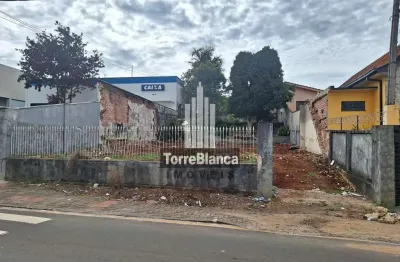 Terreno comercial à venda, lado da caixa econômica federal - uvaranas, ponta grossa, pr