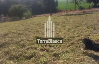 Terreno para locação, acesso via avenida souza naves, chapada - ponta grossa/pr