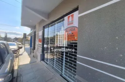 Locação - sala comercial, 140 m², 2 banheiros, nova rússia, ponta grossa/pr