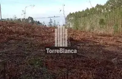 Terreno à venda na Caetano Mendes, Alto do Amparo, Tibagi