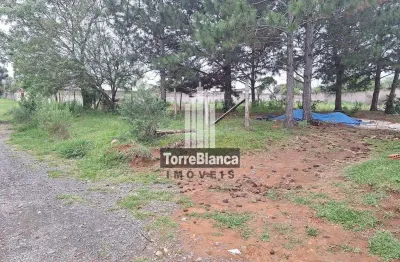 Terreno à venda na Rua Verônica Chanoski Matias, Colônia Dona LuÍza, Ponta Grossa