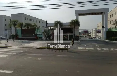 Apartamento reformado à venda no residencial purunã – 2 quartos, 50 m², próximo ao muffato uvaranas