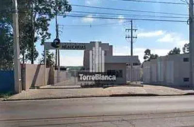 Apartamento à venda no residencial jardim das araucárias, uvaranas, ponta grossa, pr