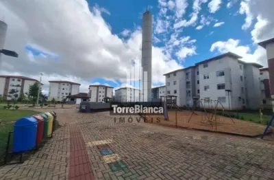 Locação - apartamento com 2 quartos, 1 vaga de garagem, residencial vida nova i, uvaranas.