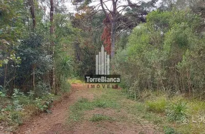 Terreno à venda na Rod. Deputado João Chede, Colônia, Palmeira