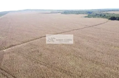 Chácara / sítio com 4 quartos à venda na Zona Rural, Balsas 