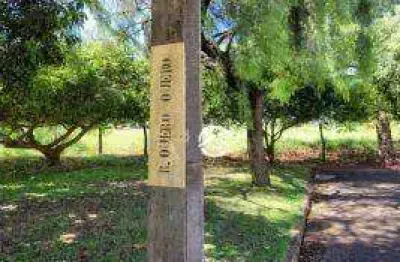 Terreno à venda na Avenida Interventor Manoel Ribas, 805, Jardim Capricórnio, Rolândia