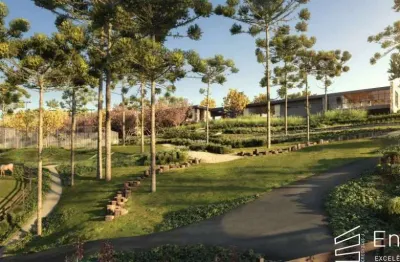 Terreno à venda no Centro, Campo Alegre 