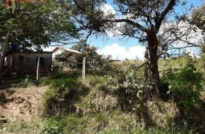 Terreno à venda, 2750 m² por R$ 590.000,00 - Chácara Maria Trindade - São Paulo/SP