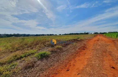 (aceita troca) terreno à venda, 142.780m² por r$ 6.780.000 - distrito de iguatemi (iguatemi) - maringá/pr