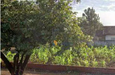 Terreno à venda, 414 m² por r$ 250.000,00 - conjunto residencial cidade alta - maringá/pr