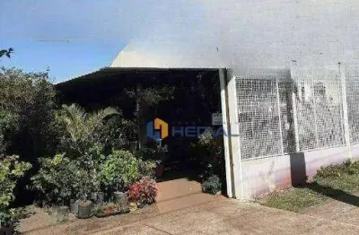 Terreno à venda, 396 m² por r$ 750.000,00 - jardim paris - maringá/pr