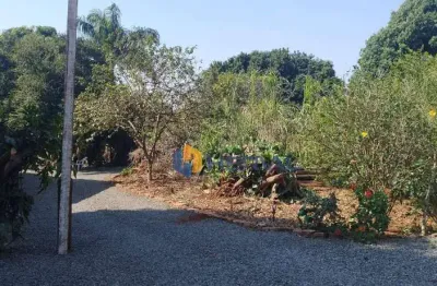 Terreno à venda, 2500 m² por r$ 2.630.000,00 - jardim alvorada - maringá/pr