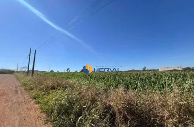 Terreno à venda, 73440000 m² por r$ 6.000.000,00 - zona rural - maringá/pr