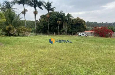 Terreno à venda, 1.570 m² por r$ 999.000 - parque industrial bandeirantes - maringá/pr