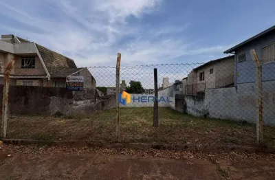 Terreno à venda, 437 m² por r$ 650.000 - jardim novo horizonte - maringá/pr