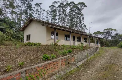 Vendo área com mais de 40 mil pés de eucalipto , itapoá sc