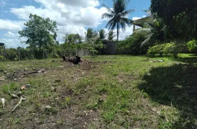 Terreno de 3000m² à venda, localizado em chã de onça, paudalho - pernambuco.