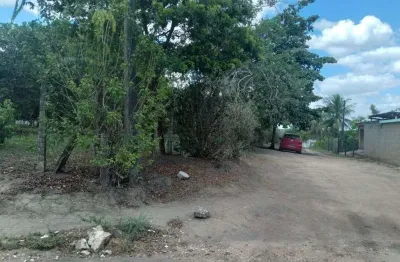 Terreno de 2.800m² à venda, localizado em chã de onça, paudalho - pernambuco.