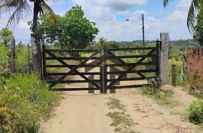 Terreno de 5.000m² à venda, com desmembramento de 60 lotes, localizado em paudalho - pernambuco.