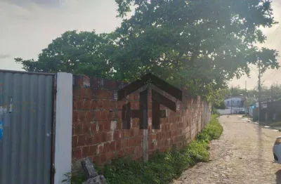 Terreno comercial ou residencial à venda, área total de 11.000m², localizado em bela vista, igarassu - pernambuco.