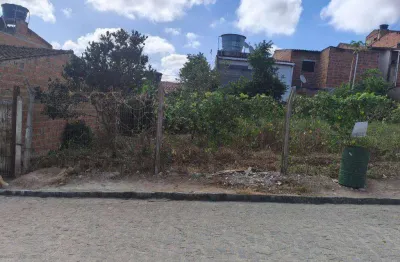 Terreno com 3 lotes de área total de 270m², á venda, localizado em sairé - pernambuco.