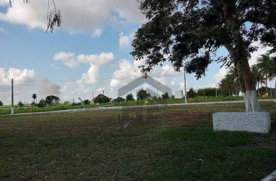 Terreno de 890m² à venda, localizado em chã de onça, paudalho - pernambuco.