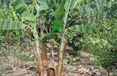 Chácara condomínio para venda em limeira, bairro dos pires, 2 dormitórios, 2 banheiros, 1 vaga