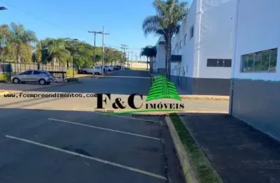 Galpão para locação em limeira, área rural de limeira, 3 dormitórios, 3 banheiros