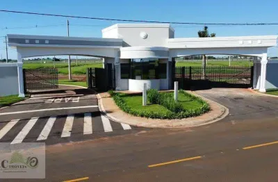 Terreno em Condomínio para Venda em Engenheiro Coelho, Residencial Michelangelo