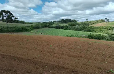 Chácara / sítio à venda na Rua Campestre, 1000, Zona Rural, São José dos Pinhais