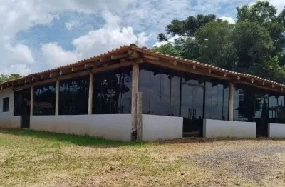 Barracão / Galpão / Depósito para alugar na Rua Domingos Perbiche, 1400, Colônia Murici, São José dos Pinhais