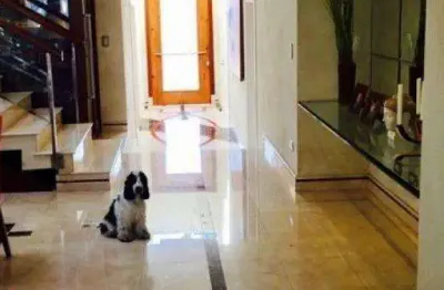 Casa em condomínio fechado com 4 quartos à venda na Alameda Saragoza, Alphaville, Barueri