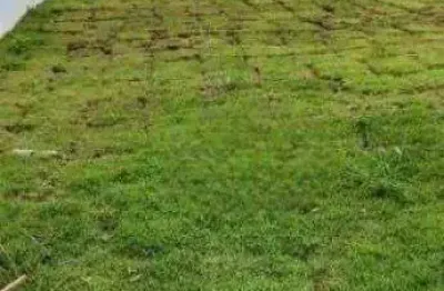 Terreno em condomínio fechado à venda na Alameda das Cássias, Tamboré, Santana de Parnaíba