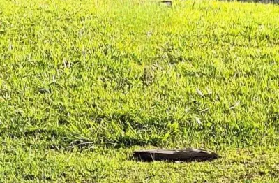 Terreno em condomínio fechado à venda na Alameda Picasso, Alphaville, Santana de Parnaíba