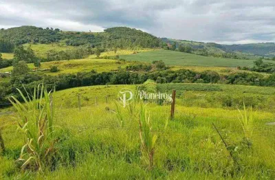 Chácara / sítio com 3 quartos à venda na Fazenda Brasil, Zona Rural, Tamarana