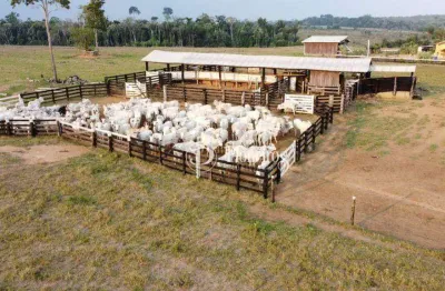 Fazenda à venda na Br-421, Apoio BR-421, Ariquemes