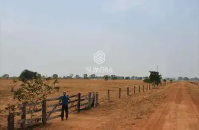 Fazenda em São Felix do Araguaia com  83.346 hectares sendo 30 mil ha agricultavel codigo: 18919