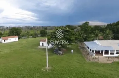 FAZENDA  COM 15.467 HA REGIÃO DE RIBEIRÃO CASCALHEIRA codigo: 18917
