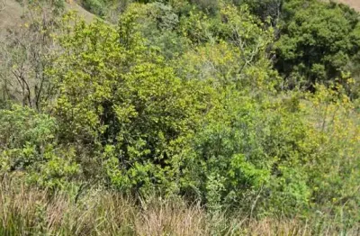 Terreno à venda na Estrada Ecoturística do Suru, 0,00, Suru, Santana de Parnaíba